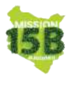 mission15b logo